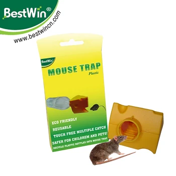 disposable mouse trap