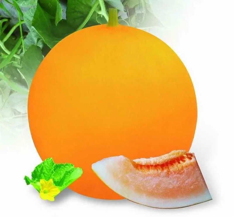 orange flesh water melon