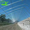 Plastic solar greenhouse for strawberry