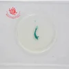High quality Medical Study Hydra W.M.Microscope Prepared Slides
