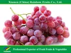 Chinese super sweet fresh red grape for sweet red wine