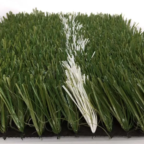 BLPR grass carpet.jpg