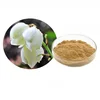 EX1042 Factory supplu high quality Yucca Root Extract 60% Sarsaponin
