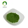 bettering supply 100% nature Barley Seedling Grass Powder