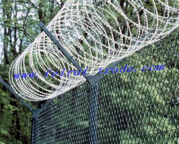 chain link fence with razor barbed wire.jpg