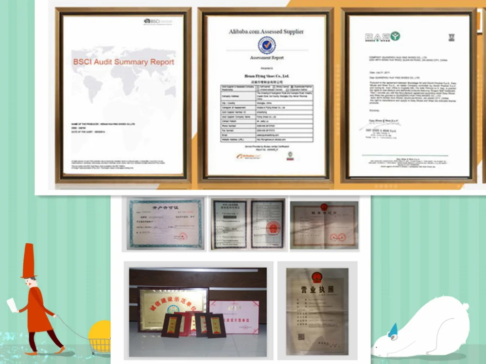 Company established licence____