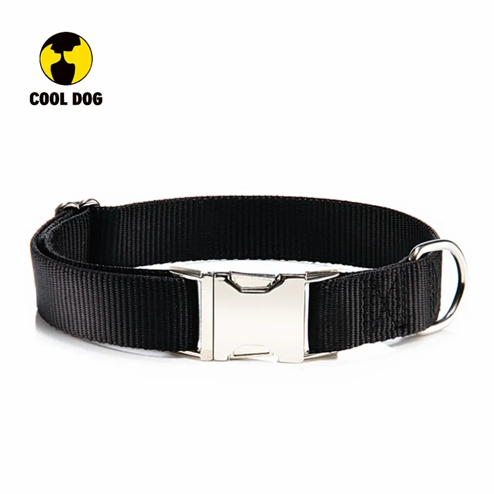 no buckle dog collar