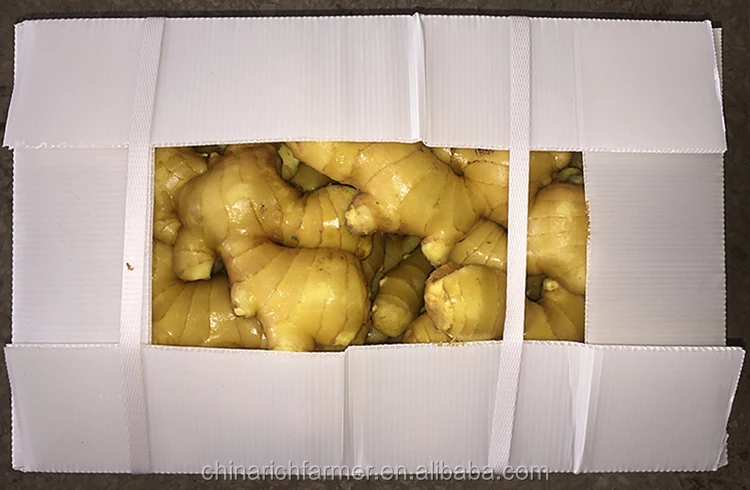 Fresh Chinese Mature Ginger For Sale Buy Fresh Gingerchinese Gingers 