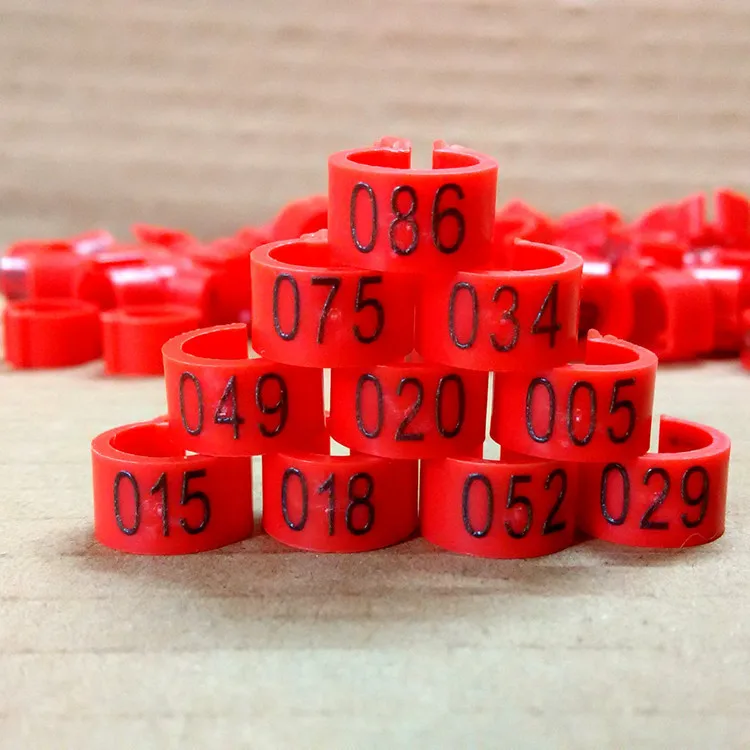 pigeon foot ring (9).jpg