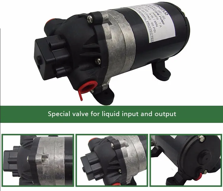 Dp60,Dp60b 4.6l/min 60psi 24v&12v High Pressure Water Pump For Car