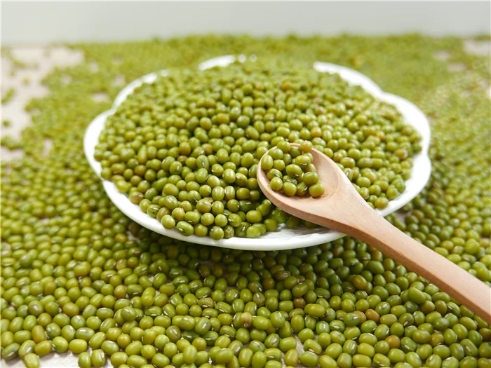 Green Mung Bean / Gram / Phaseolus Radiatus - Buy Green Mung Bean,Gram ...