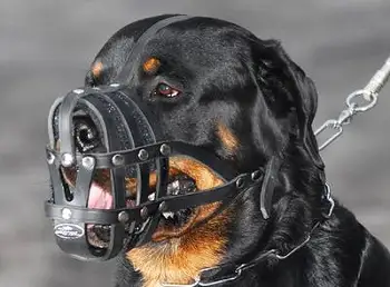 dog muzzle for rottweiler
