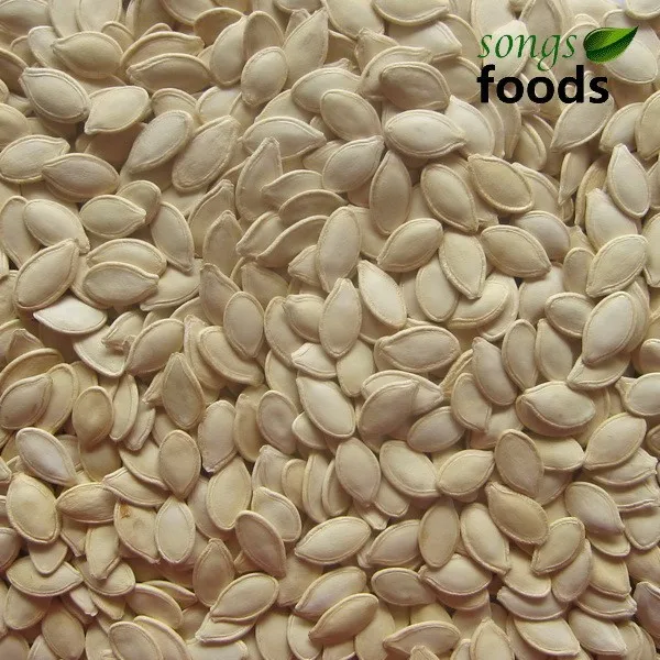 Hot Sale Raw Green Peanuts Inshell 9/11 Buy Raw Peanuts Prices,Raw