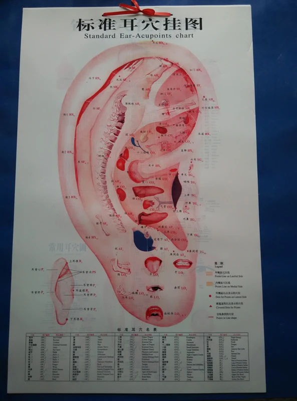 Achetez en Gros chinois acupuncture graphique en Ligne à
