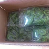 wholesale freeze dried kiwi slice
