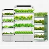 Shezhen full spectrum 250W 3 tier rack Led Grow Light hydroponic for indoor eco-kitchen