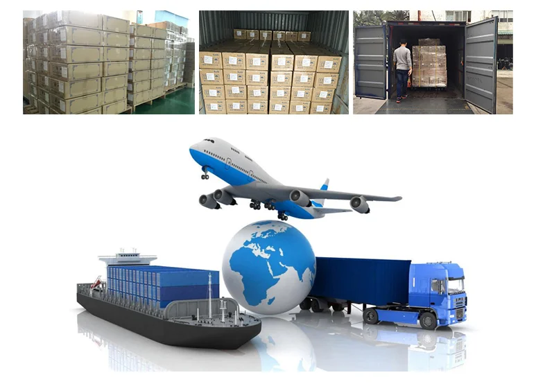 paste-pic-dp_uuid_zug0z