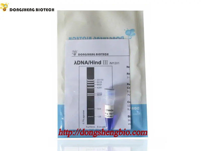 lambda dna hind iii didest marker oem view lambda dna dsbio product details from guangzhou dongsheng biotech co ltd on alibaba com
