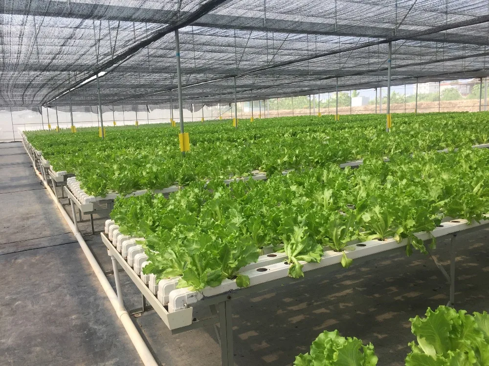 2016 new pvc-u nft hydroponics system for aquaponics for