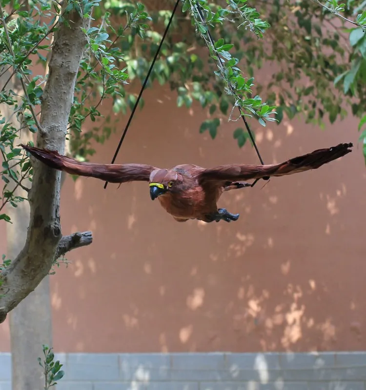 Spread Wings Realistic Plastic Eagle Scarer Decoy For Pest Control