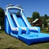 garden inflatable wet or dry slide dolphin inflatable water slide for sale