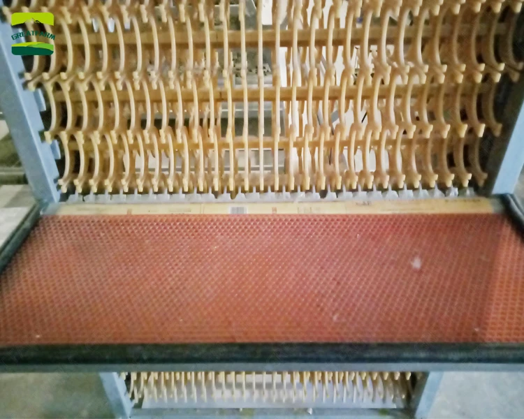 Great Farm Fully Automatic Egg Picker Fully Automatic Egg Collector