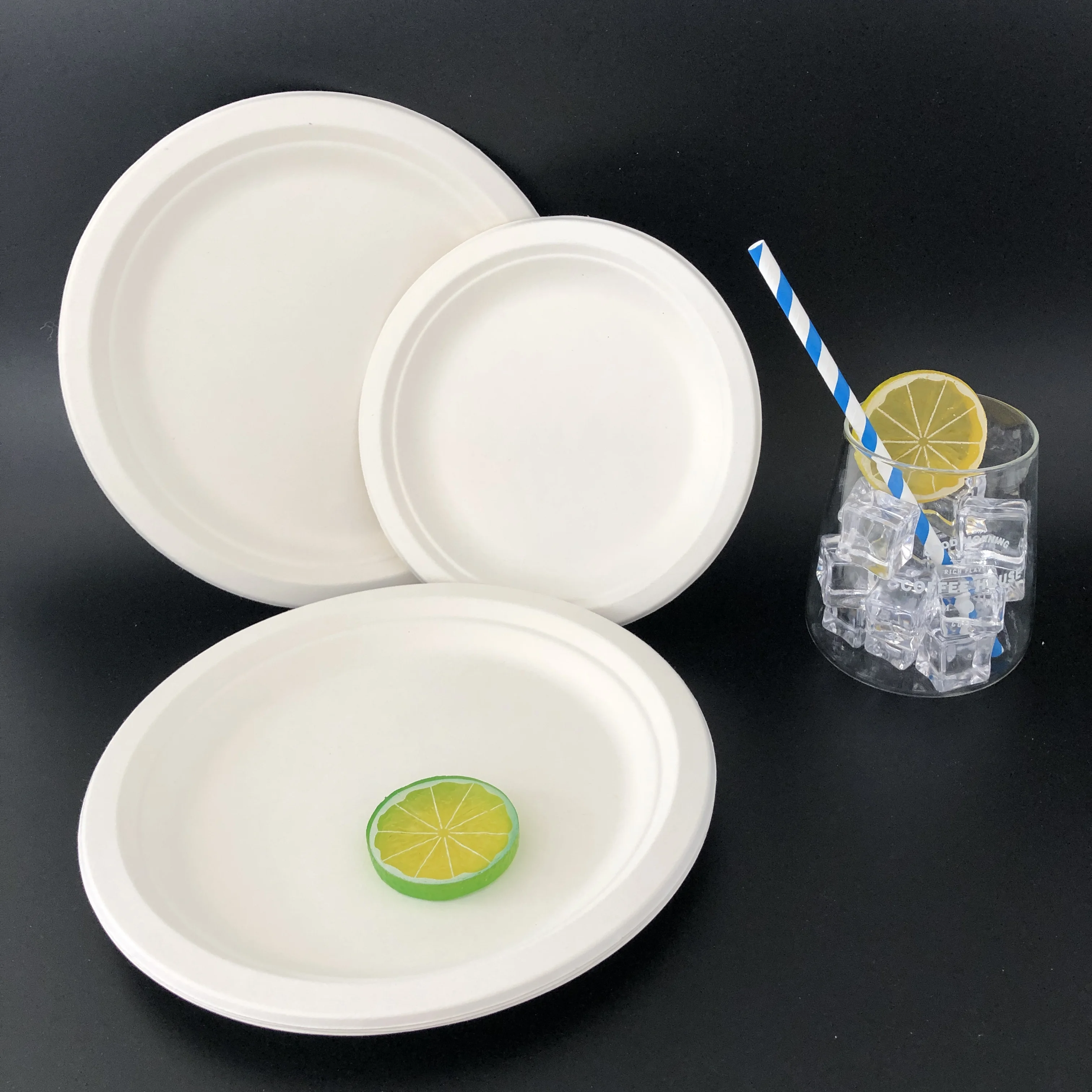Disposable Compostable Sugarcane Pulp Plate In Thailand Bagasse Plate
