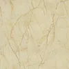 Anti Slip Outdoor 60X60 Glazed Rustic Floor Tiles Price In Canada