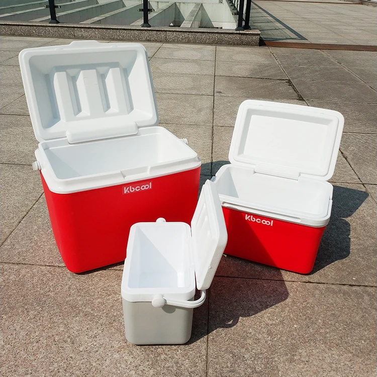 Customize Color Plastic Mini Ice Box Portable Ice Storage Picnic Food Fresh Cooler Box Buy 3005