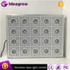 BP900 led grow light systems 12 band 1500w 1600w led commercial grow light switzerland as apollo horticulture led grow lighting