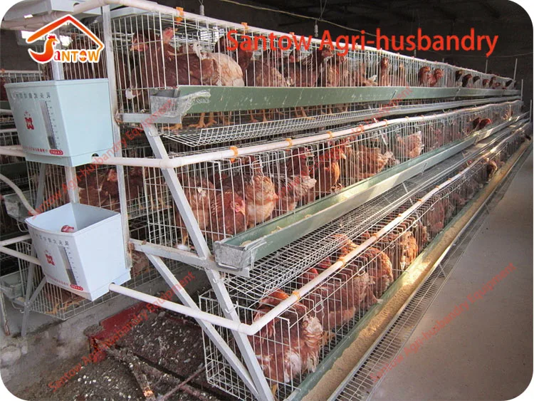 Hot Sale Deep Galvanized Chicken Egg Layer Cage Factory Price Pyramid