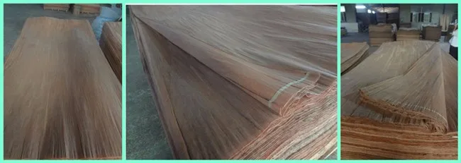 AB Grade Rotary Cut Natural PLB Wood Face Veneer For Plywood