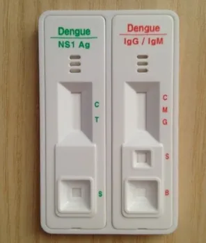 Image result for dengue test