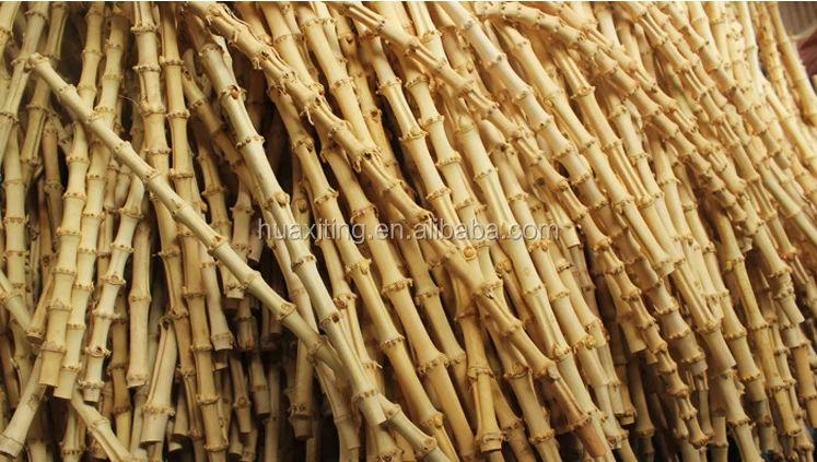 100% Natuur Bamboe Wortel Voor Wit/bamboe Wortel - Buy Bamboe Wortel Snijden,Bamboe Wortels Voor Decoratie,Bamboe Wortel Bamboe Riet Bamboe Whangee Cane Product on Alibaba.com