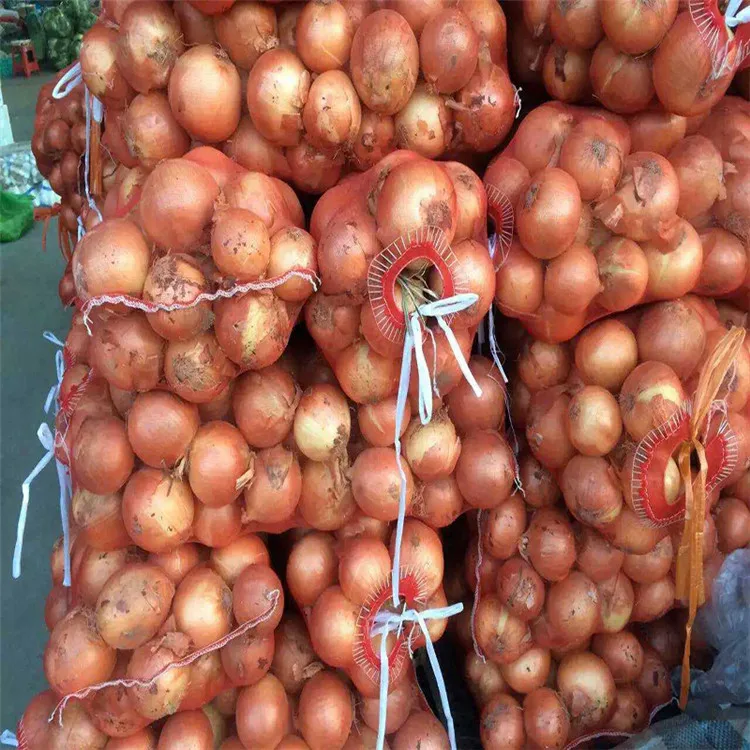 Manufacturer Tubular Mono net bags PE Leno vegetable mesh bag pe monofilament mesh bags