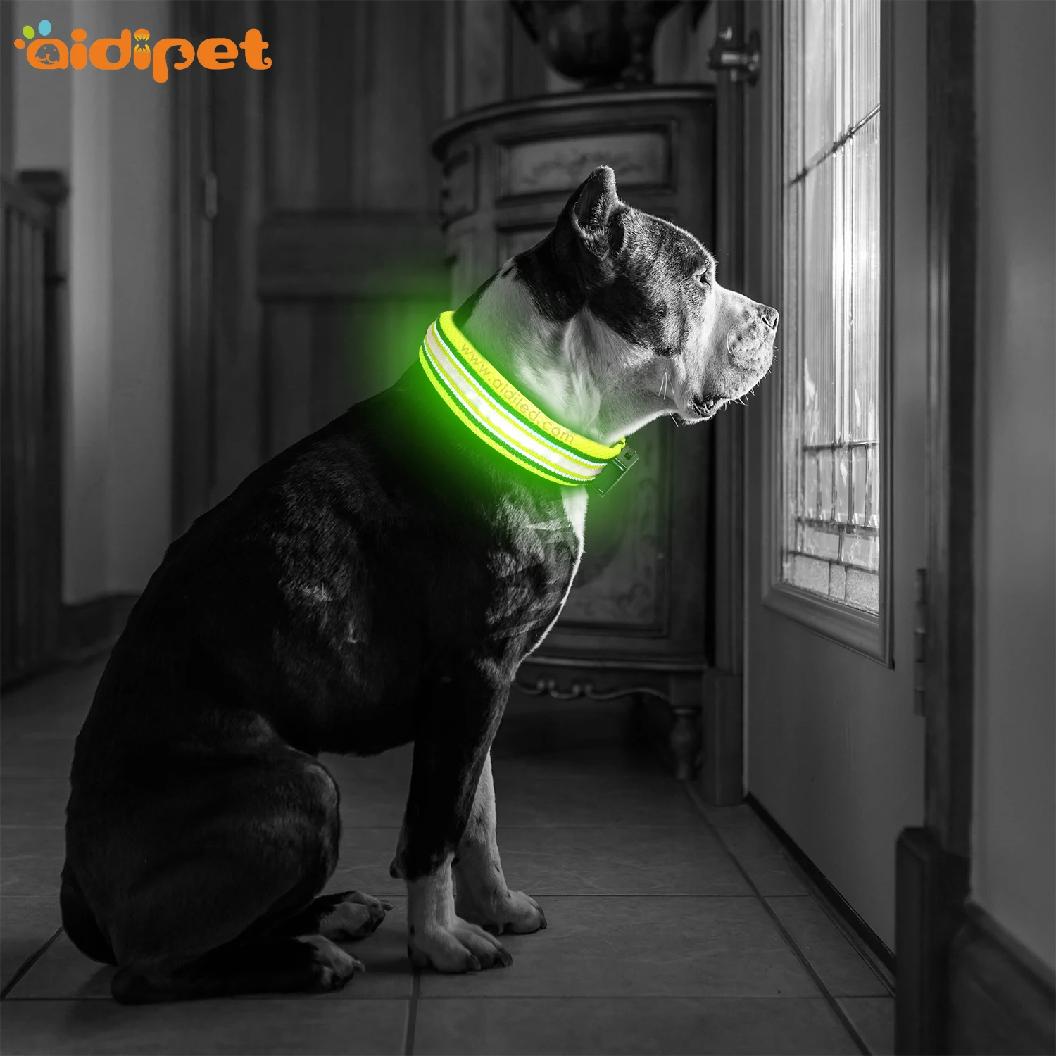 Single Optical Fiber Nylon Dog Collar for Night Safety High Quality China Collar Manufacturer Factory