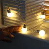 Mini Festoon String Lights Battery Operated Frosted Bulb 10 Warm White LEDs