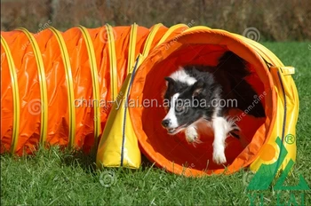 outdoor dog toys