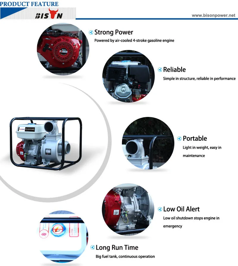 Bison (china) 2 Inch 4 Inch Submersible Deep Well Borehole Water Pump