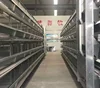 Layer Egg Chicken Cage/Poultry Farm House Design for Layer