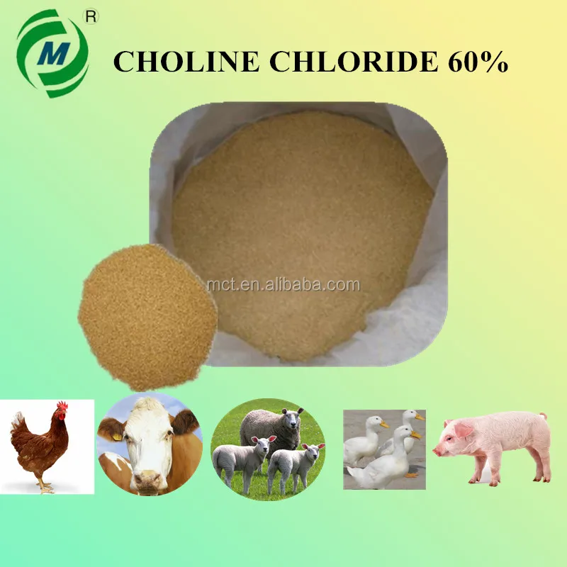 Animal Feed Choline Chloride 60 Corn Cob Cc60 Buy Choline Chloride