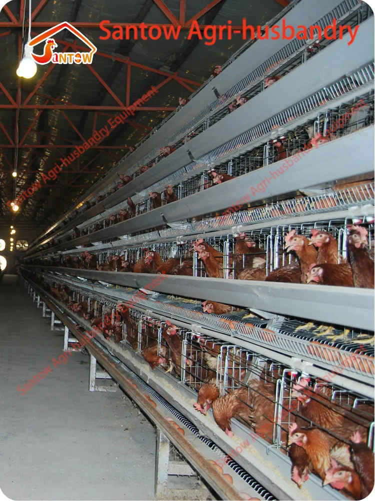 Hot Galvanized Chicken Poultry Cages Cold Galvanized Chicken Layer Cage Best Quality For Sale Nigeria Africa