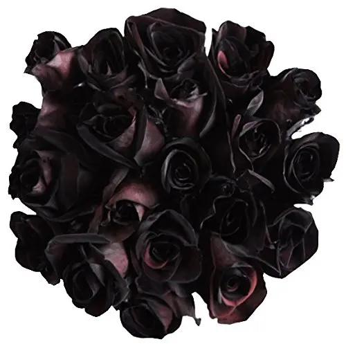 Cheap Meaning Black Roses Find Meaning Black Roses Deals On Line At Alibaba Com