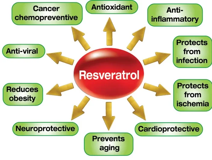 Resveratrol (1).png