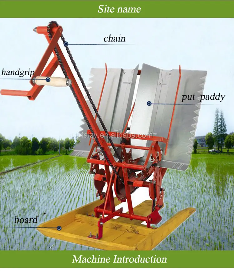 Easy Operation Rice Planting Machine And Prices For Farm - Buy Rice