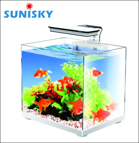 Zgt 水族馆直角设备玻璃鱼缸高品质与玻璃盖 Buy 玻璃鱼缸 水箱设备 水族箱product On Alibaba Com