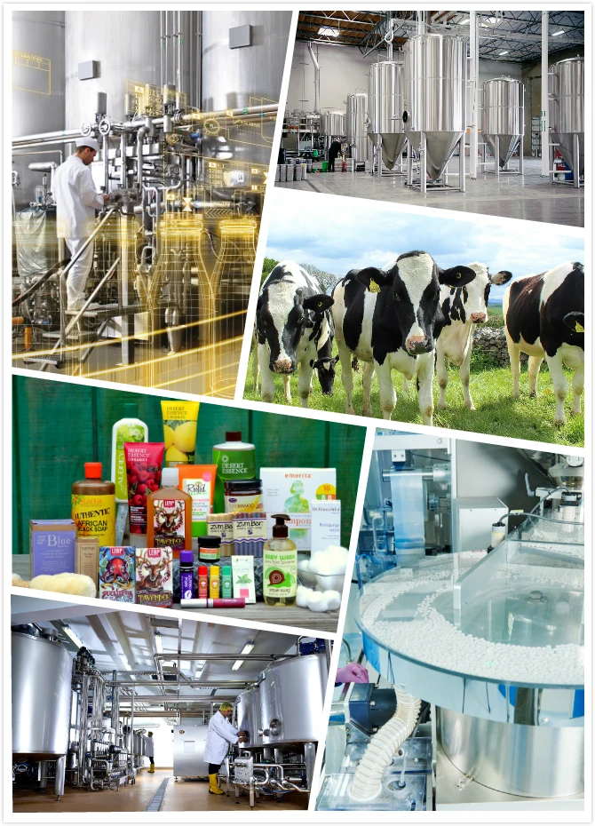 Industries We Serve.jpg