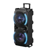 Hot selling well Double 8 inch Portable Trolly Speaker with light 20W plastic speaker