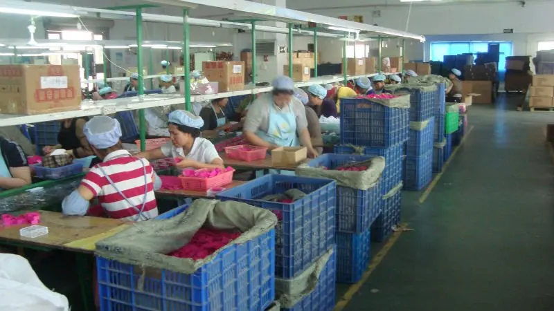 Assembly Line in factory4.JPG