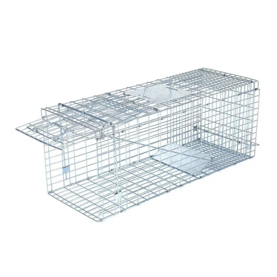 Pigeon Trap Cage, Live Bird Trap, Foldable Galvanized Pigeon Trap Cage